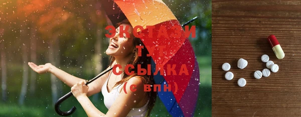 хмурый Арсеньев