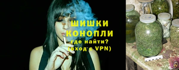 хмурый Арсеньев