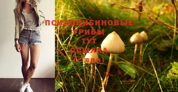 первитин Аркадак
