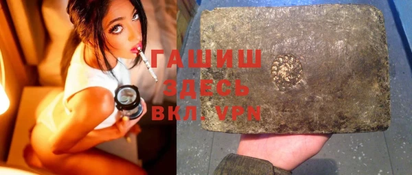 хмурый Арсеньев