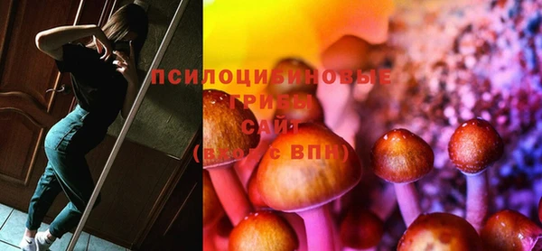 хмурый Арсеньев